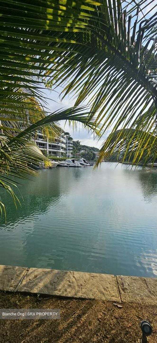 Cove Drive (D4), Detached #457031711